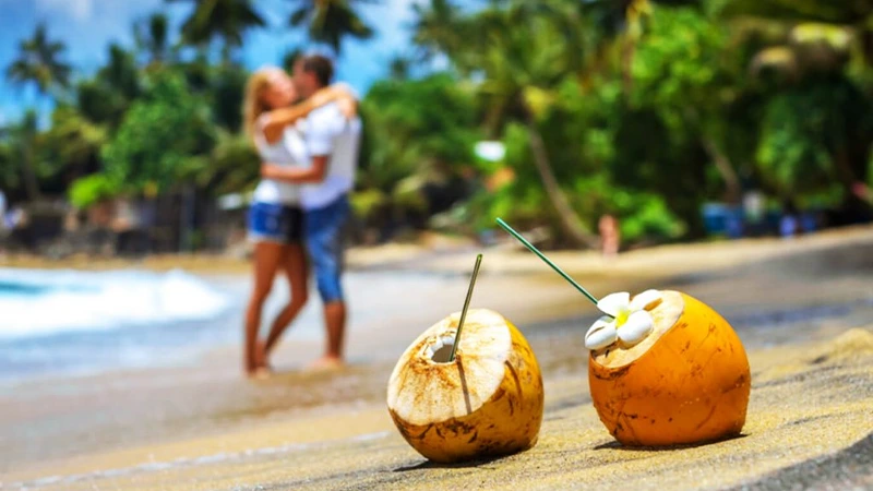 Honeymoon pkgs Sri Lanka tour packages