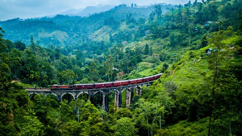 Train ride Sri Lanka tour packages